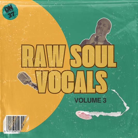 RAW SOUL VOCALS VOL.3