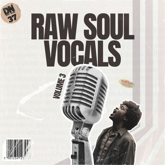 RAW SOUL VOCALS VOL.3