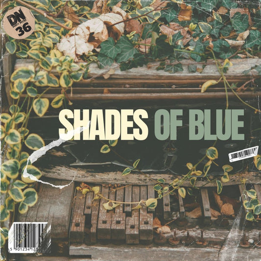 SHADES OF BLUE
